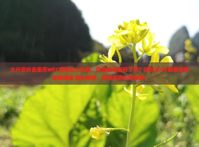 大兴安岭去重庆wfc观景台七日游