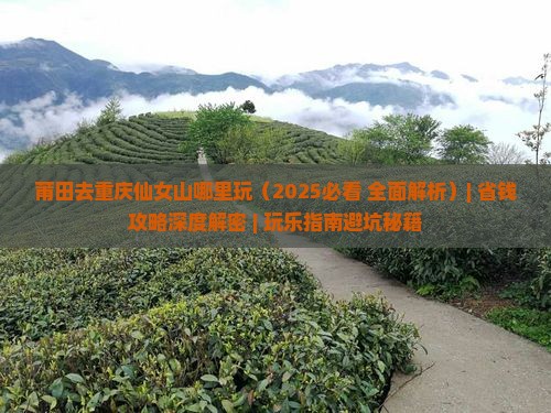 莆田去重庆仙女山哪里玩 莆田去重庆仙女山哪里玩