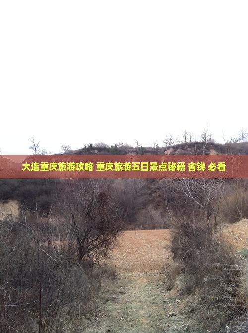 大连去重庆五日游