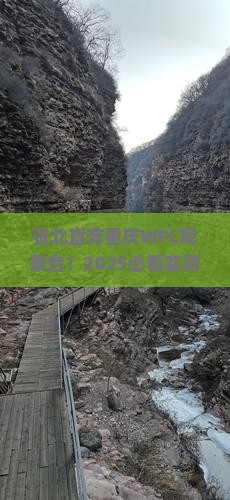 张北去重庆wfc观景台自由团