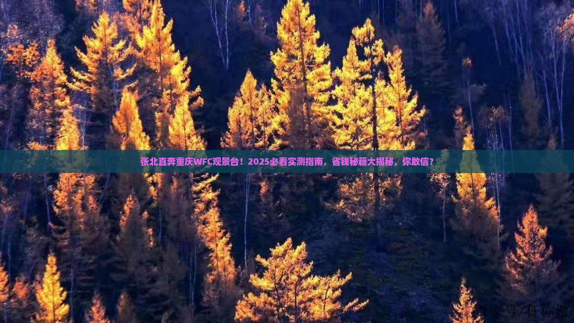 张北去重庆wfc观景台自由团