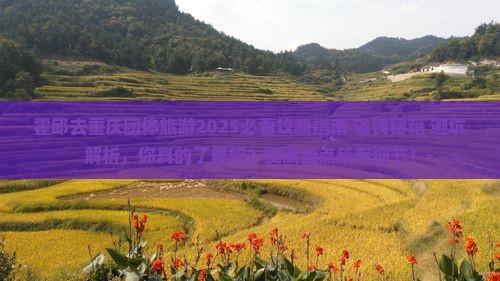 霍邱去重庆团体旅游