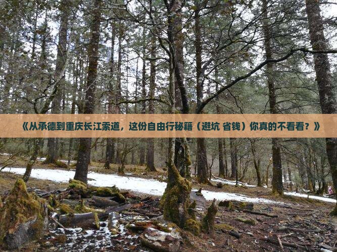 承德去重庆长江索道自由团