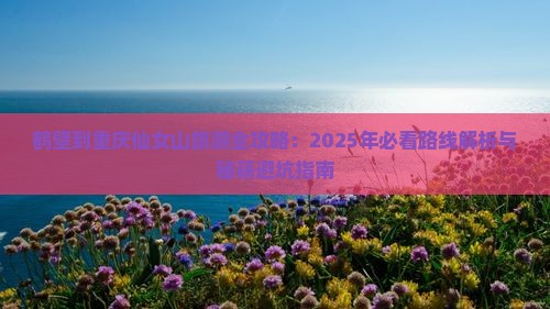 鹤壁去重庆仙女山个人游