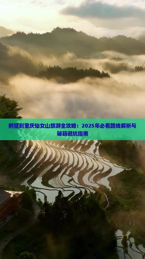 鹤壁去重庆仙女山个人游