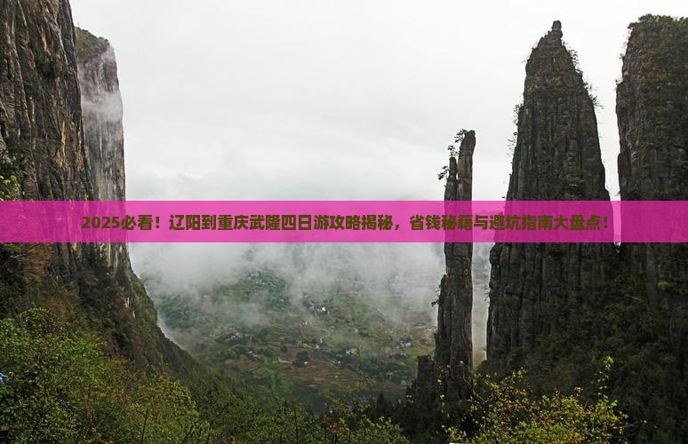 辽阳到重庆武隆四日游
