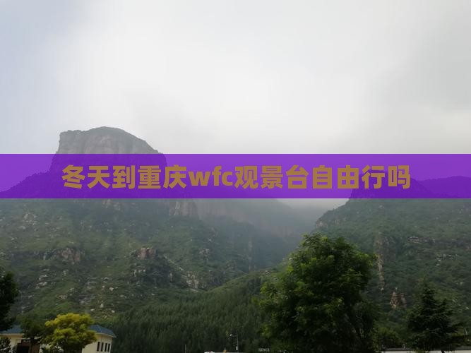 冬天到重庆wfc观景台自由行