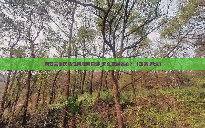 西安去重庆乌江画廊四日游