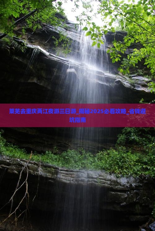 莱芜去重庆两江夜游三日游