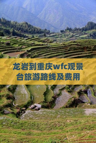 龙岩到重庆wfc观景台旅游
