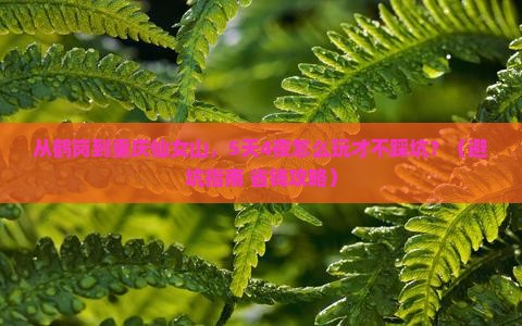 鹤岗去重庆仙女山自由团