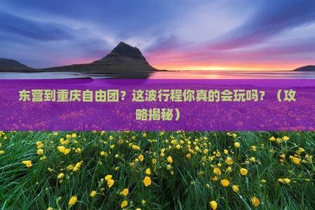 东营到重庆自由团