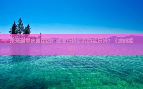 东营到重庆自由团