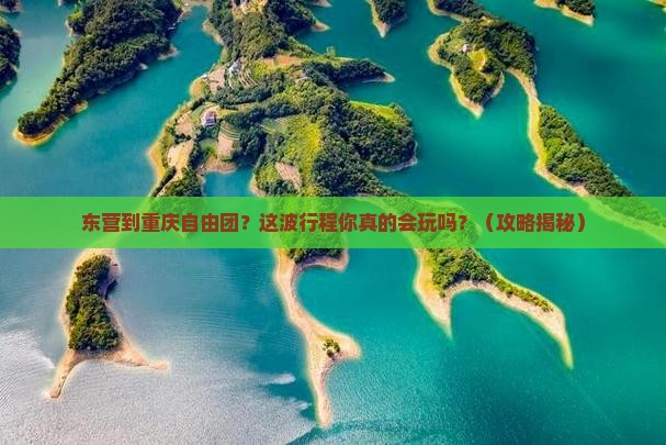 东营到重庆自由团