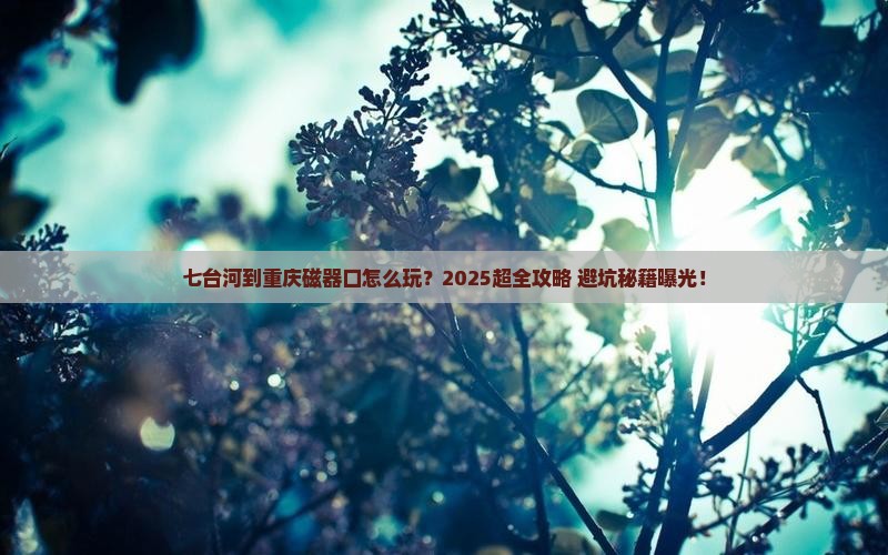 七台河到重庆磁器口旅行社