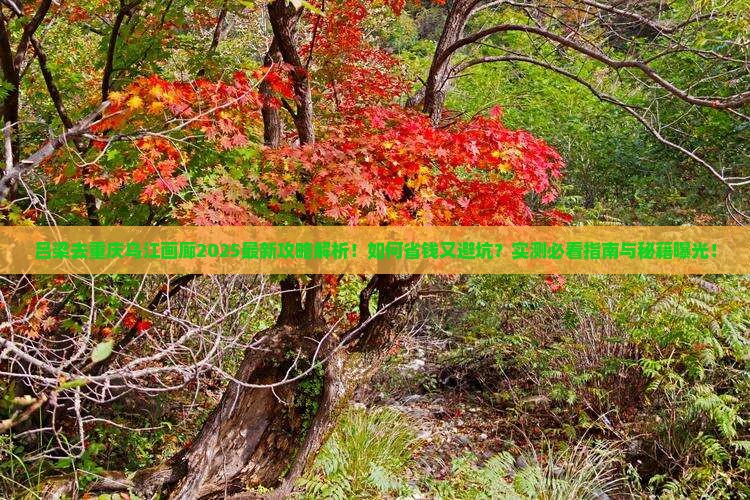吕梁去重庆乌江画廊攻略