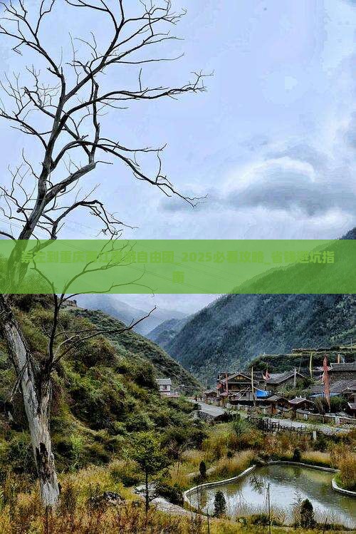 崇左到重庆两江夜游自由团