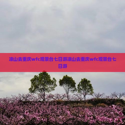 凉山去重庆wfc观景台七日游