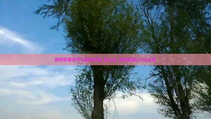 锦州到重庆乌江画廊攻略