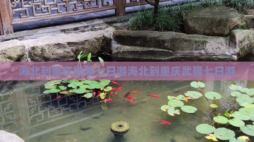 海北到重庆武隆七日游