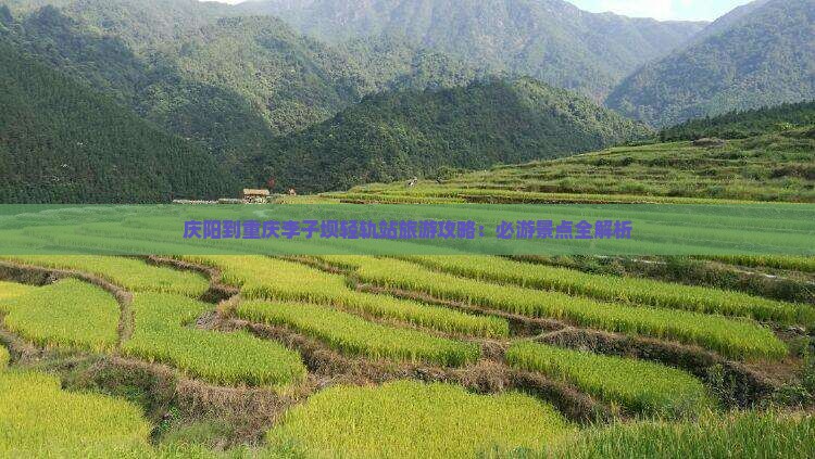 庆阳到重庆李子坝轻轨站景点