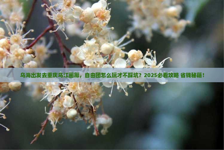 乌海市去重庆乌江画廊自由团