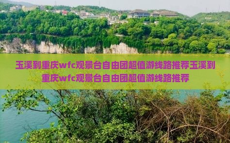 玉溪到重庆wfc观景台自由团