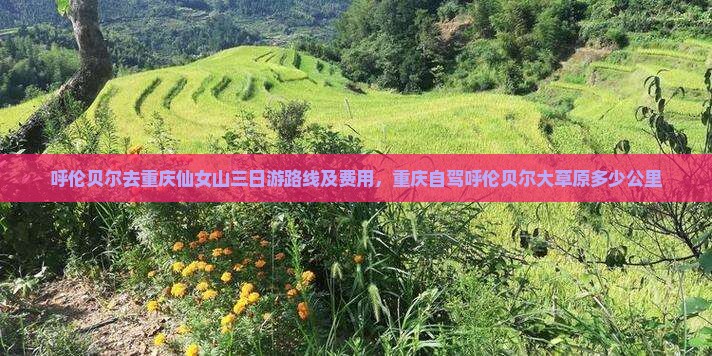 呼伦贝尔去重庆仙女山三日游