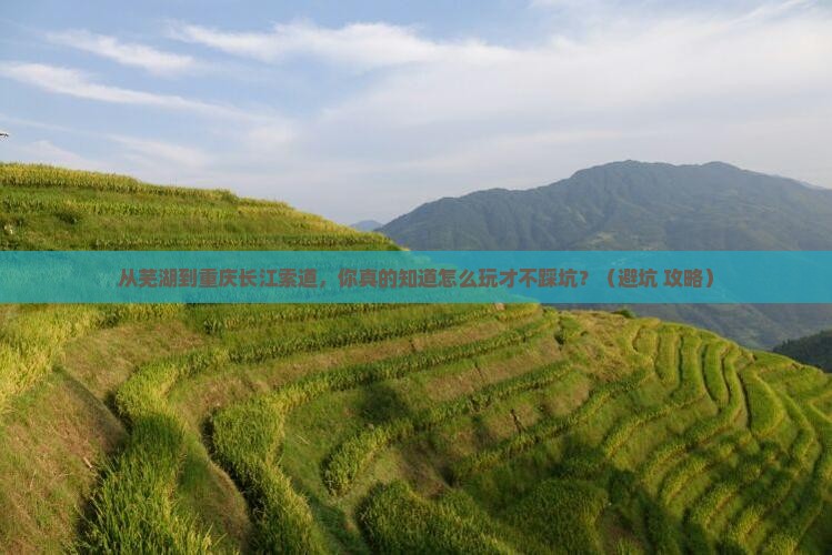 芜湖到重庆长江索道旅行社