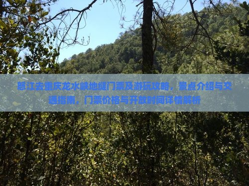 怒江去重庆龙水峡地缝门票