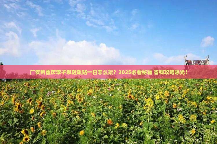 广安到重庆李子坝轻轨站一日