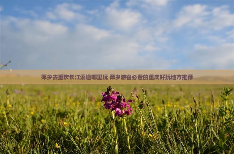 萍乡去重庆长江索道哪里玩