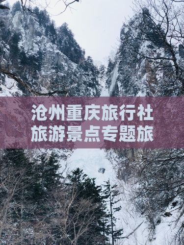 沧州去重庆旅行社