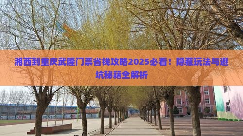 湘西到重庆武隆门票