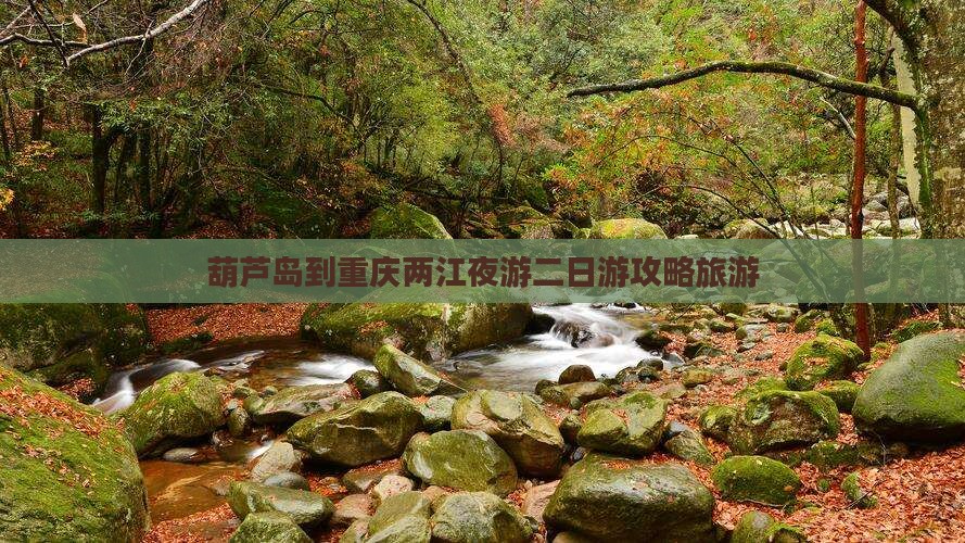 葫芦岛去重庆两江夜游二日游