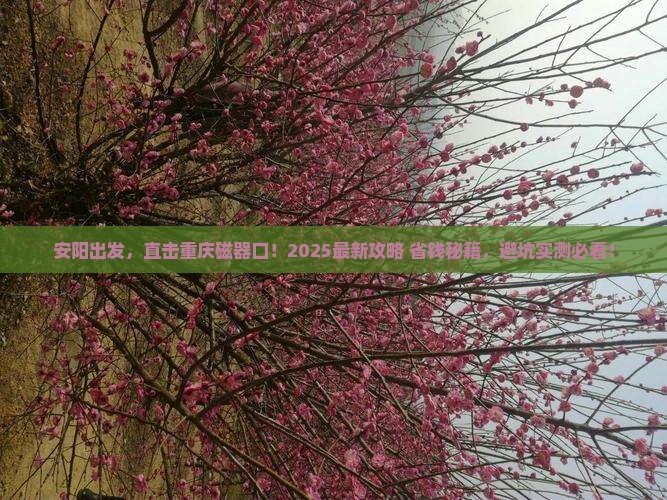 安阳到重庆磁器口攻略