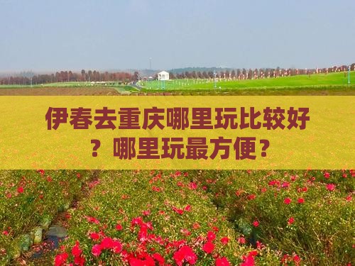 伊春去重庆哪里玩比较好？哪里玩最方便？