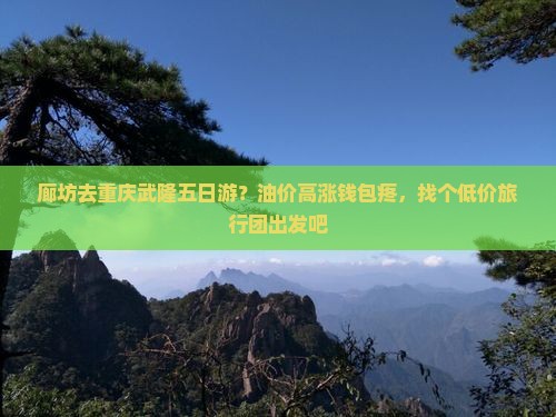 廊坊去重庆武隆五日游？油价高涨钱包疼，找个低价旅行团出发吧