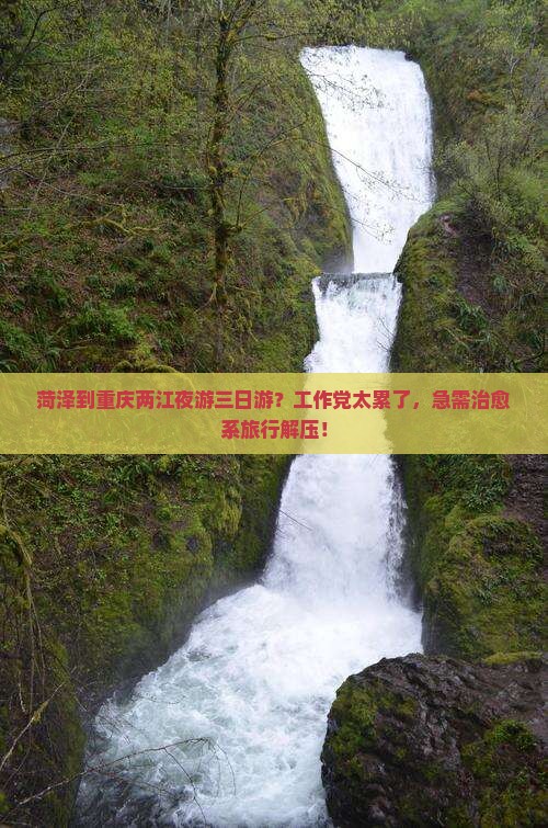 菏泽到重庆两江夜游三日游？工作党太累了，急需治愈系旅行解压！