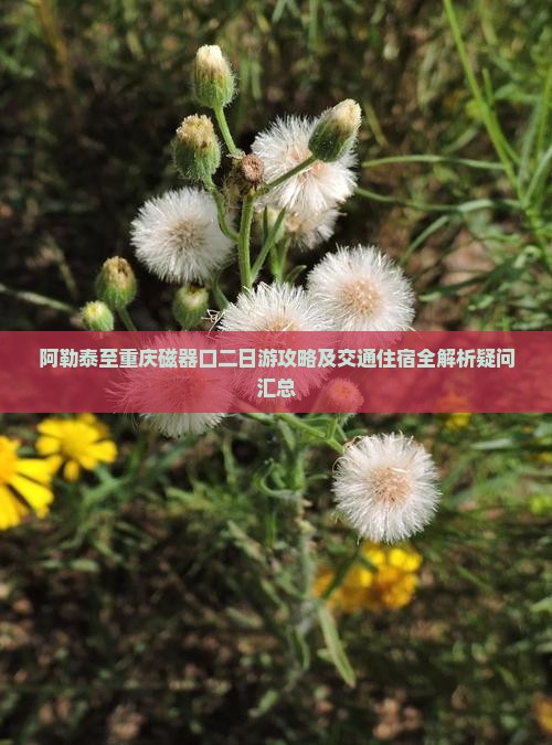 阿勒泰至重庆磁器口二日游攻略及交通住宿全解析疑问汇总 阿勒泰至重庆磁器口二日游攻略及交通住宿全解析疑问汇总