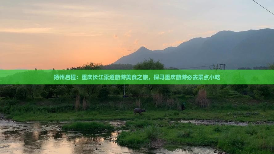 扬州启程：重庆长江索道旅游美食之旅，探寻重庆旅游必去景点小吃