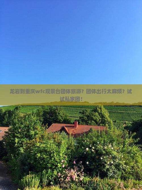 龙岩到重庆wfc观景台团体旅游？团体出行太麻烦？试试私家团！