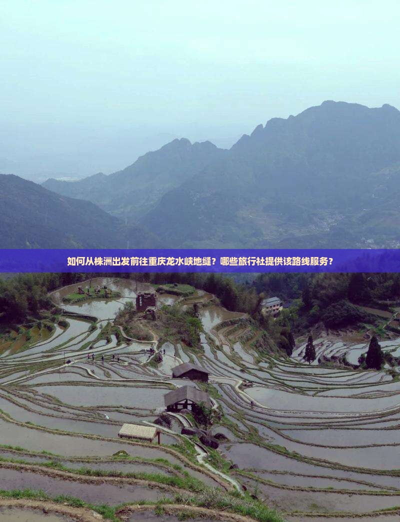 如何从株洲出发前往重庆龙水峡地缝？哪些旅行社提供该路线服务？