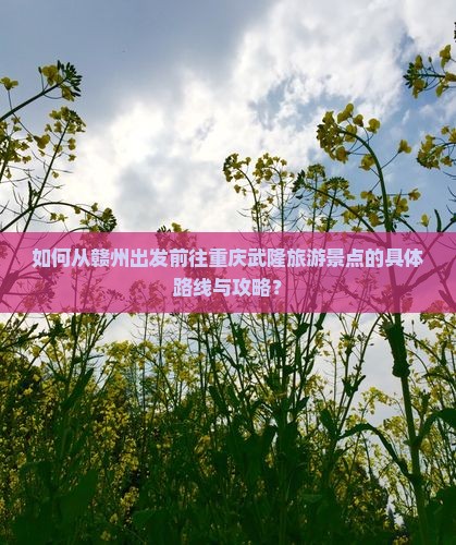 如何从赣州出发前往重庆武隆旅游景点的具体路线与攻略？