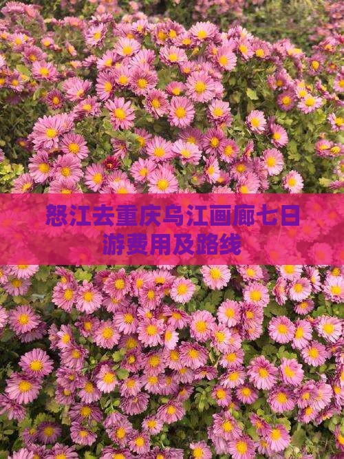 怒江去重庆乌江画廊七日游费用及路线