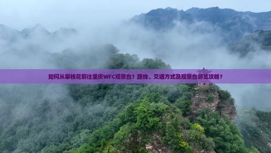 如何从攀枝花前往重庆WFC观景台？路线、交通方式及观景台游览攻略？
