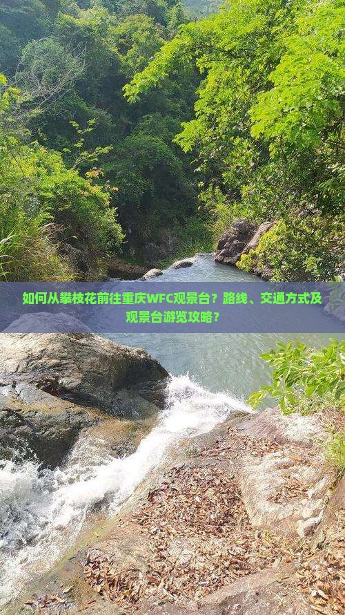 如何从攀枝花前往重庆WFC观景台？路线、交通方式及观景台游览攻略？
