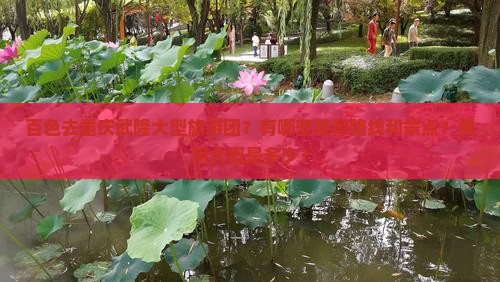 百色去重庆武隆大型旅游团？有哪些推荐路线和景点？费用大概是多少？