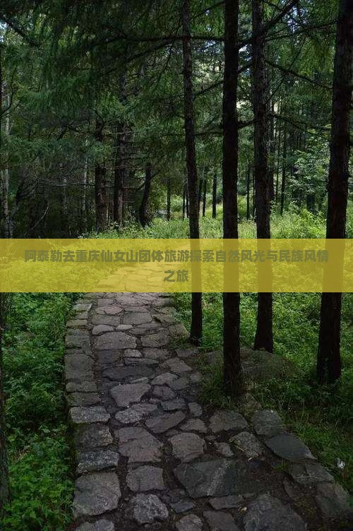 阿泰勒去重庆仙女山团体旅游探索自然风光与民族风情之旅