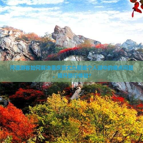河源游客如何解决重庆蚩尤九黎城个人游中的痛点问题，提升旅行体验？